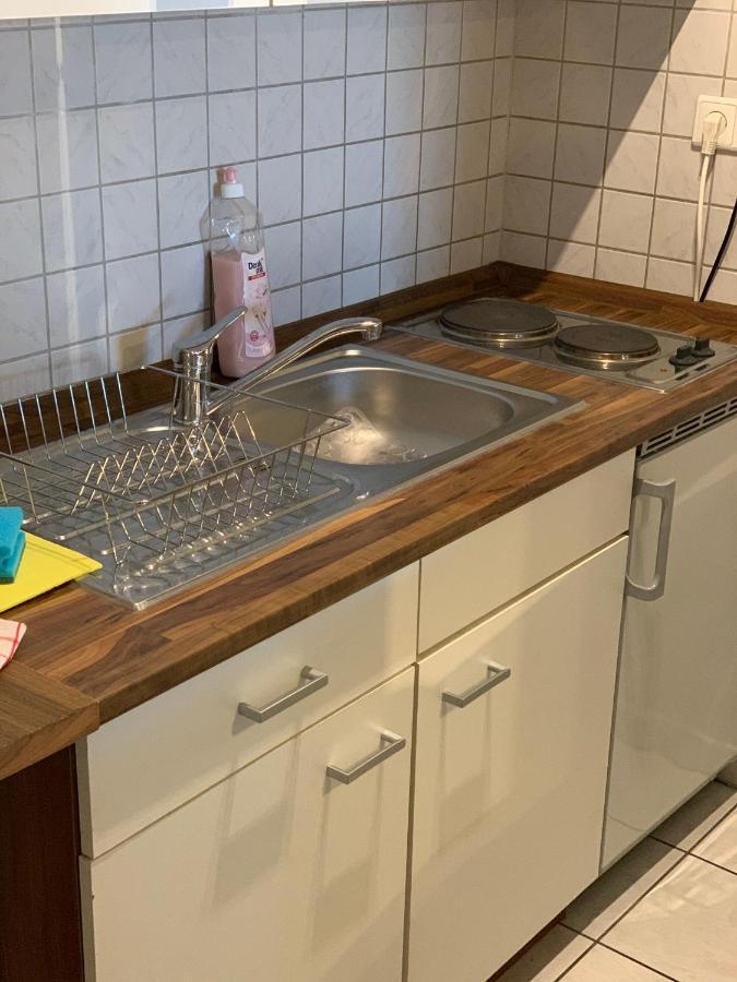 Appartement Hechtstrasse Dresden
